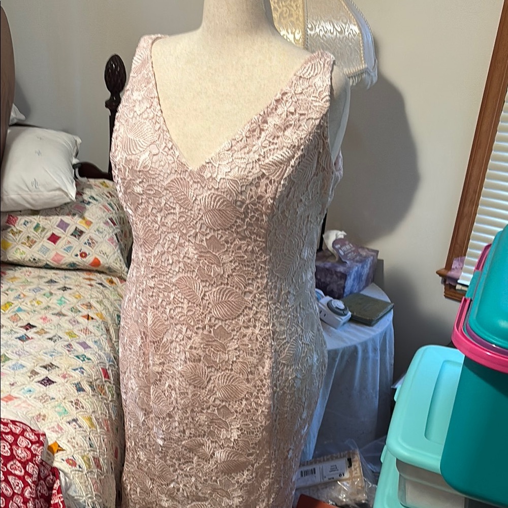 Blush Pink Lace Maxi NWT this is a formal long evening gown.